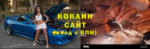мдпв Елабуга
