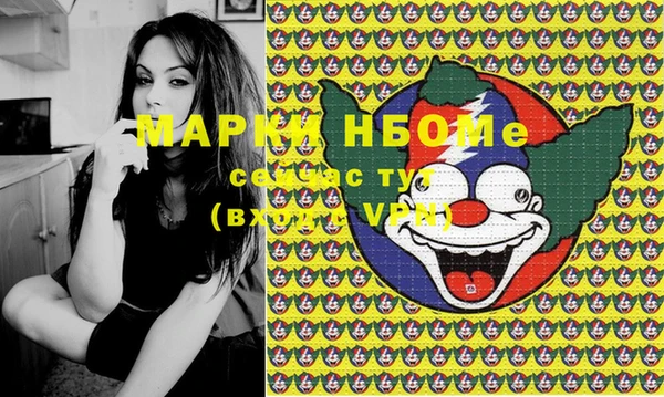 мдпв Елабуга