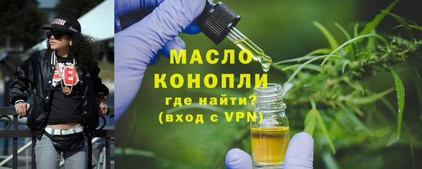 мдпв Елабуга
