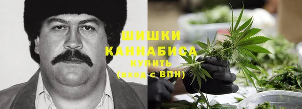 мдпв Елабуга