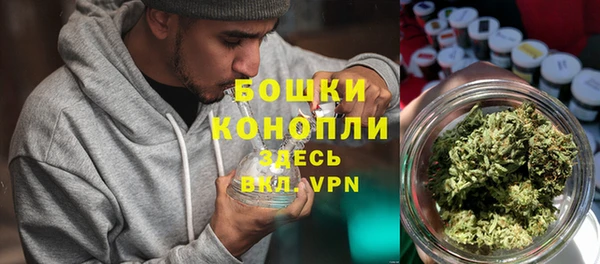 соль ск Гусь-Хрустальный