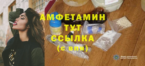 мдпв Елабуга